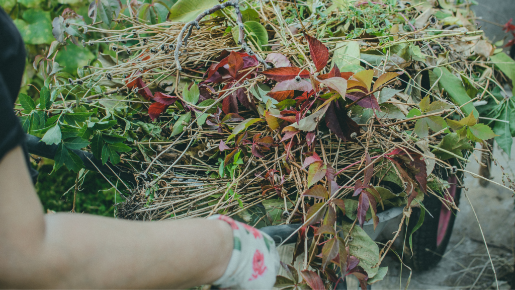 Important Fall Garden Prep for Next Year's Crop