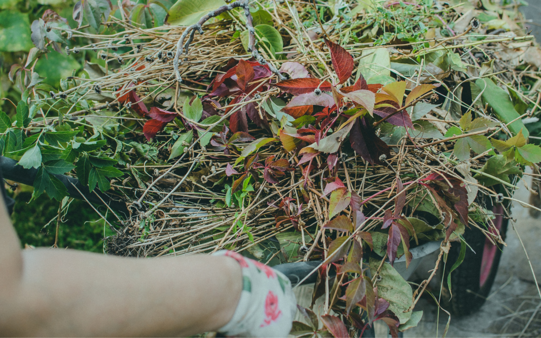 Important Fall Garden Prep for Next Year’s Crop