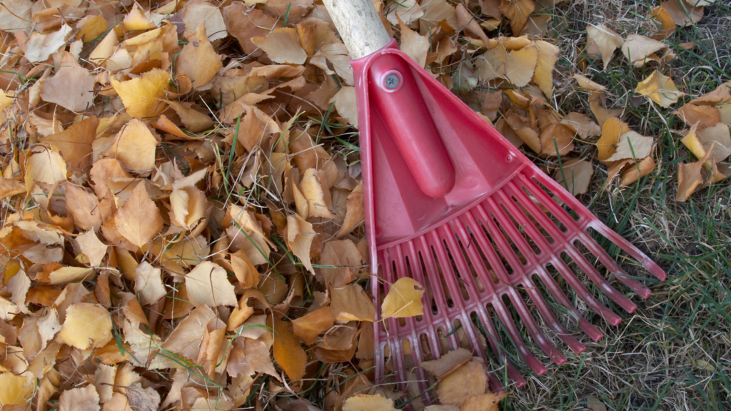 Midwestern's Guide to a Spring Cleanup - Friske Lawn Care