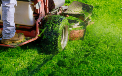 Top 5 Reasons Why You Should Hire a Lawn Mowing Service