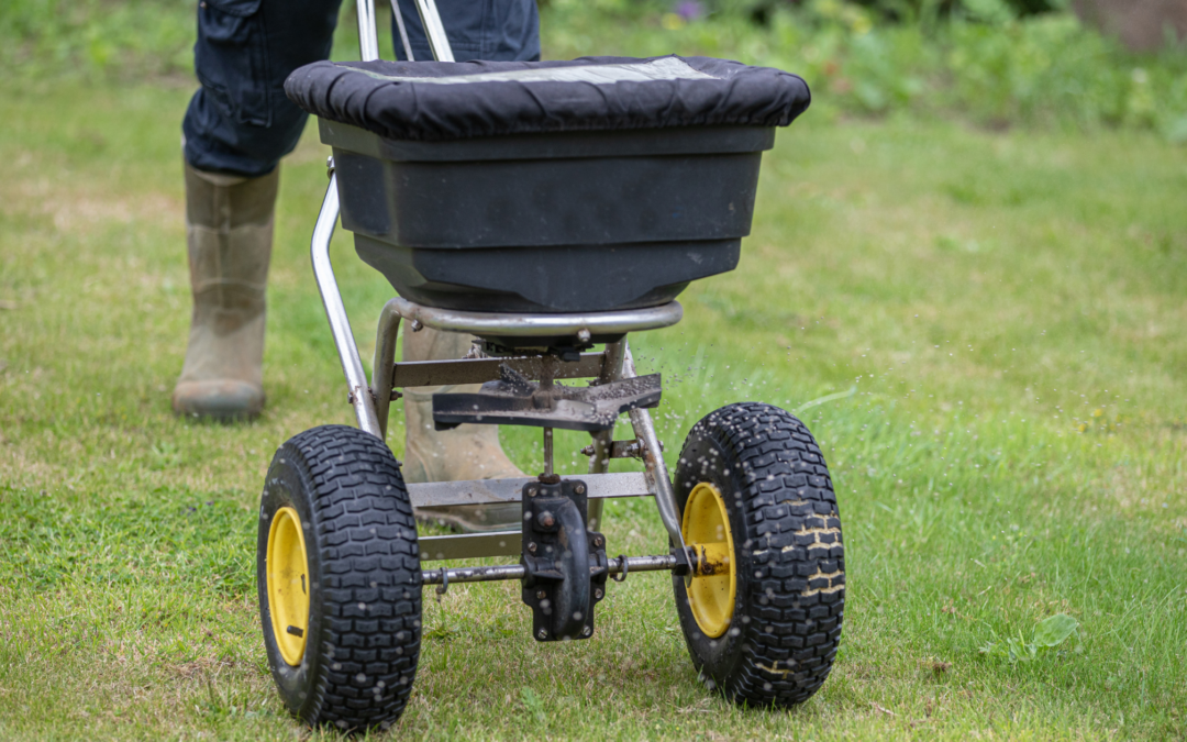 End of Summer Lawn Care Tips: Preparing Your Yard for Fall
