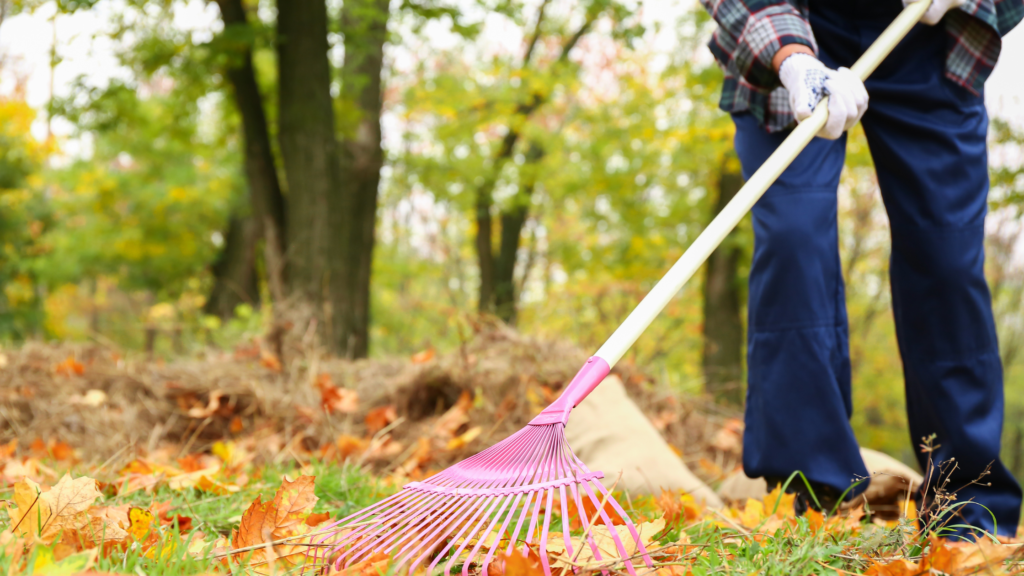 Fall Cleanup Checklist - Friske Lawn Care