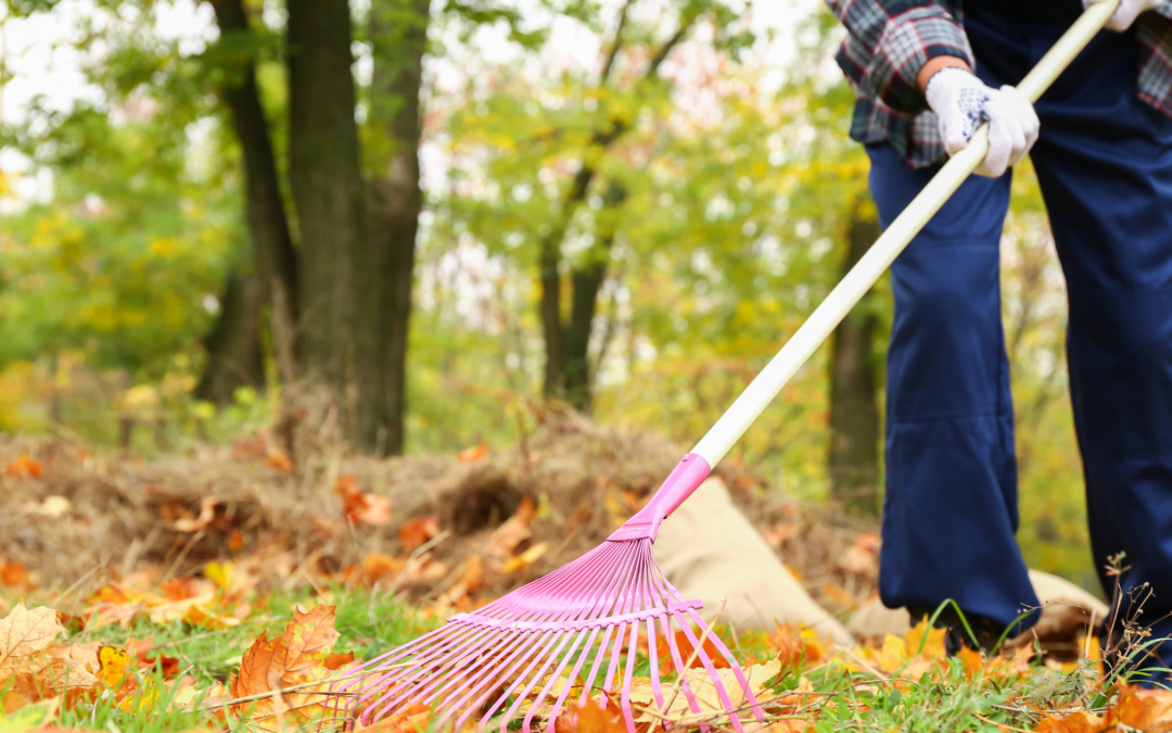 Fall Lawn Cleanup Checklist: Preparing Your Yard for Winter