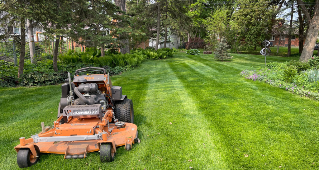 Benefits of Professional Lawn Care - Friske Lawn Care