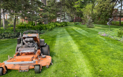 The Benefits of Professional Lawn Care: Why Hiring a Lawn Mowing Company is Worth It