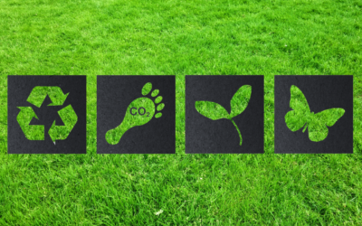 Organic Lawn Care Tips for Eco-Friendly Homeowners