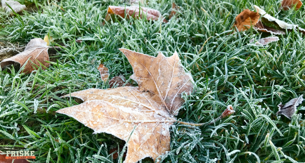 Image of grass and leaves with frost - Friske Lawn Care