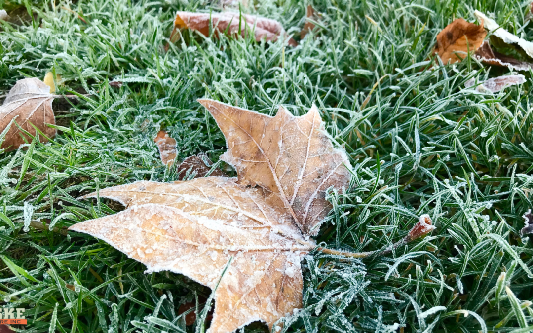 How Late Can You Mow Your Lawn in Madison, WI?