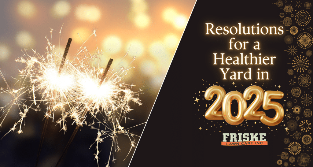 Resolutions for a Healthier Yard in 2025 - Friske Lawn Care