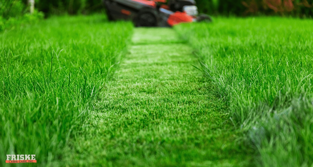 How often to mow your lawn in June in Madison, WI - Friske Lawn Care
