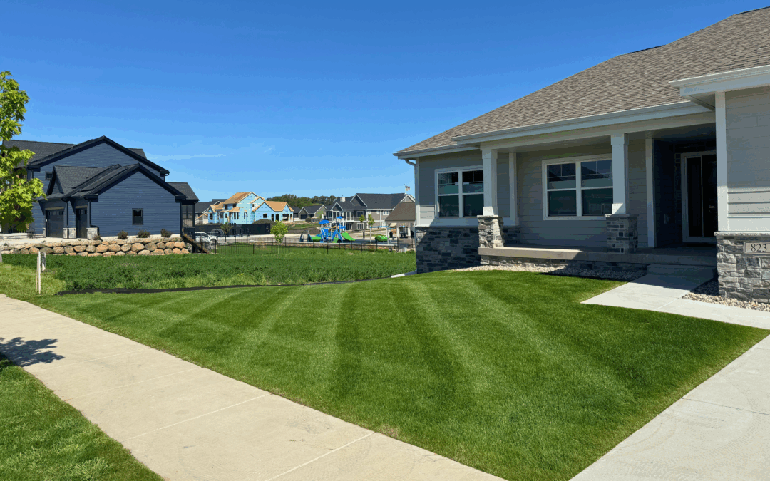 Why Consistent Lawn Maintenance Matters Even During the Heat