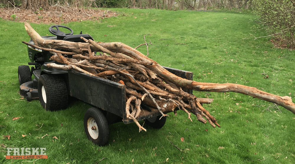 Why Spring Cleanup Sets the Tone for Your Entire Lawn Season