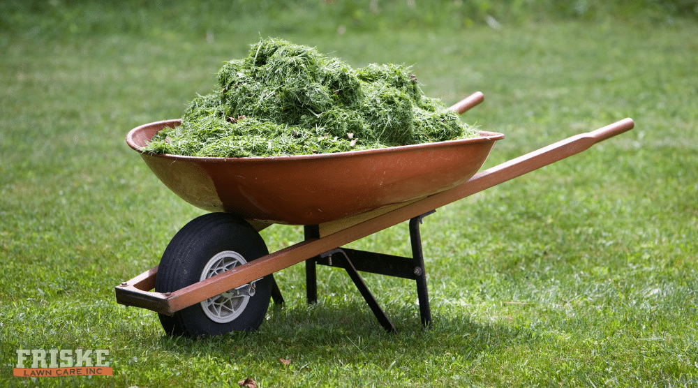 Friske Lawn Care - Grass Clippings