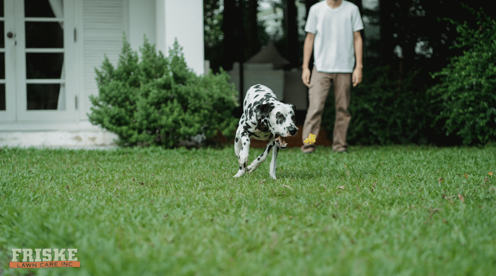 Late Summer Mowing Tips for Madison Lawns