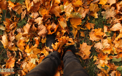 Fall Lawn Care Mistakes That Could Come Back to Haunt You in Spring